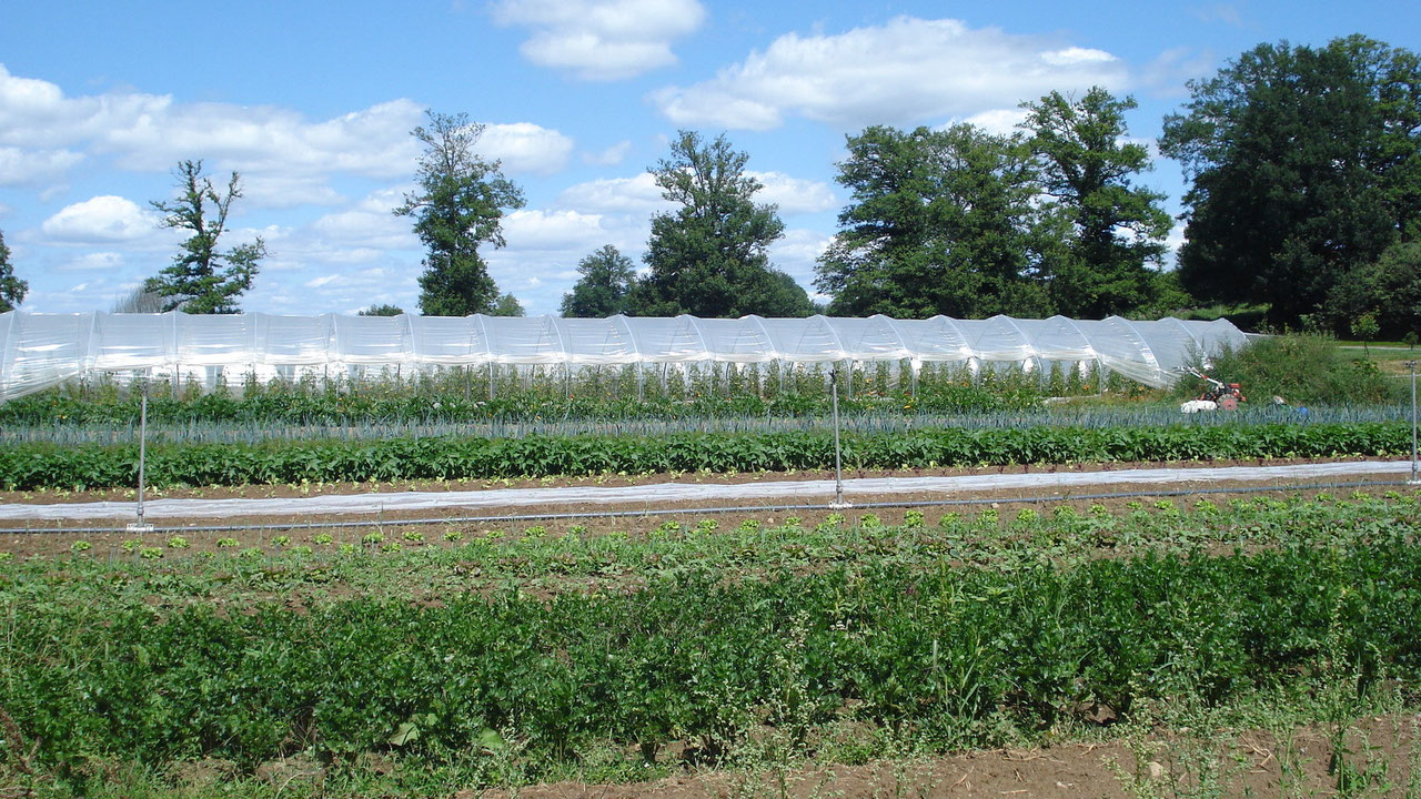 Les Cultures Ferme bio Ane & Carotte