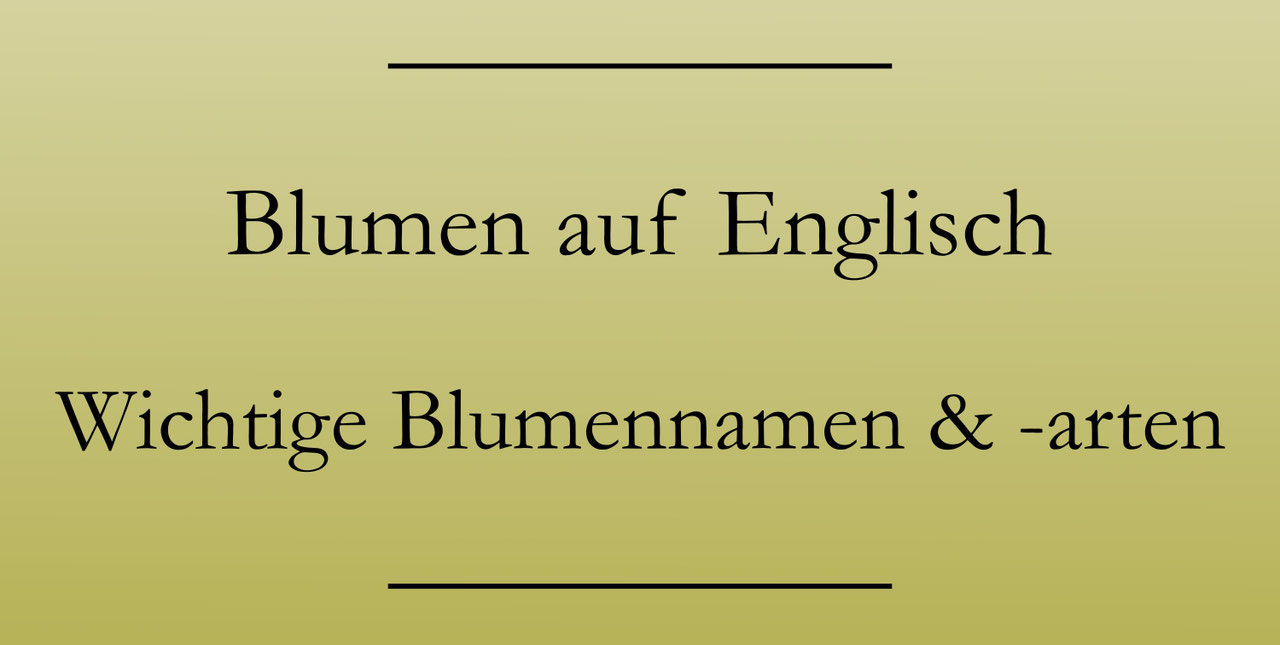 Blumen auf Englisch Liste der Blumennamen Englisch lernen