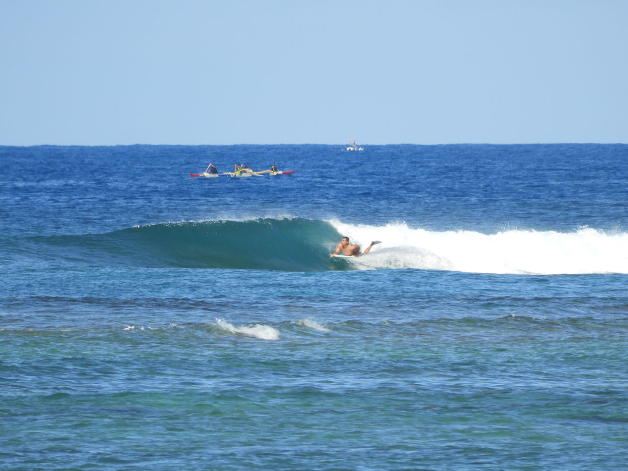 Monkeypod Tree ハワイ ワイキキ サーフショップ KAION （カイオン） at WAIKIKI SHORE 公式サイト