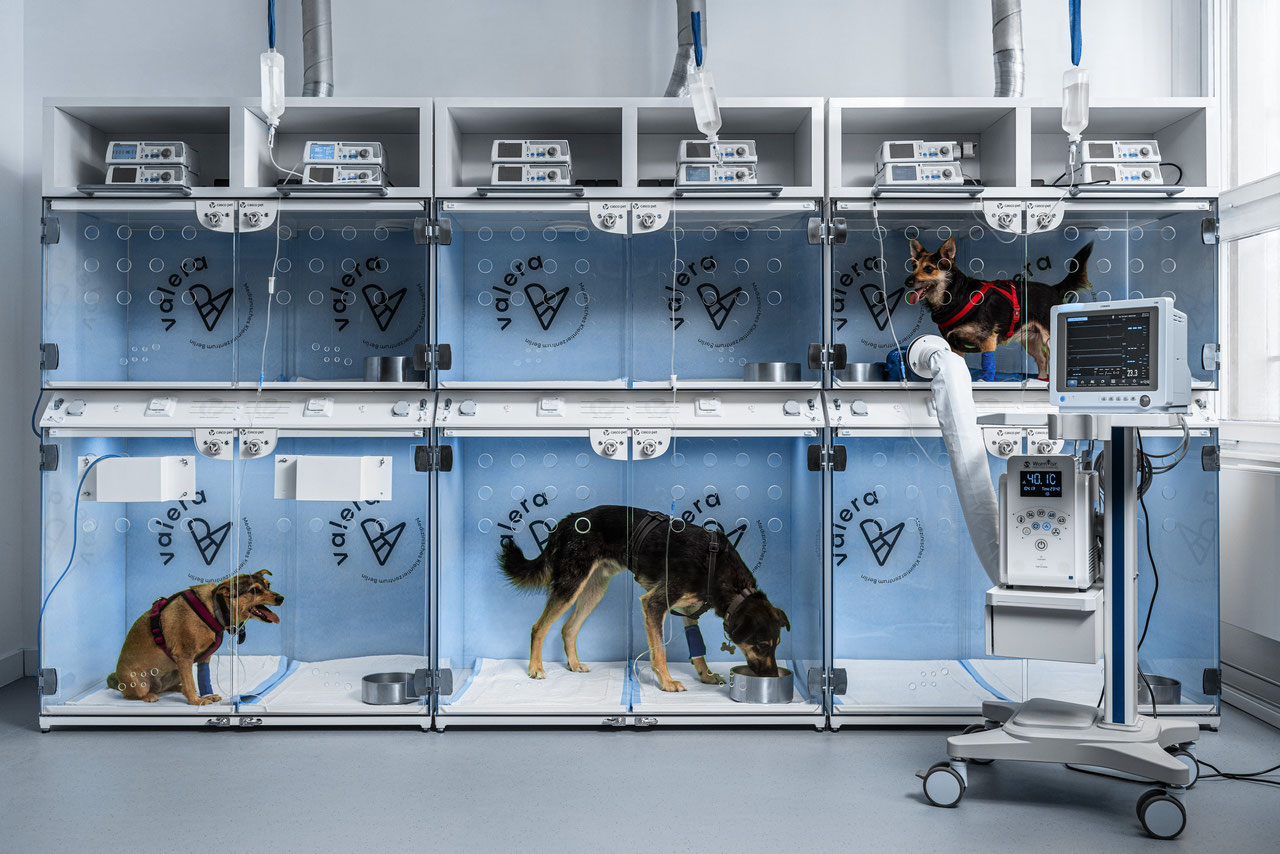 Leistungen der Tierklinik in Berlin Valera