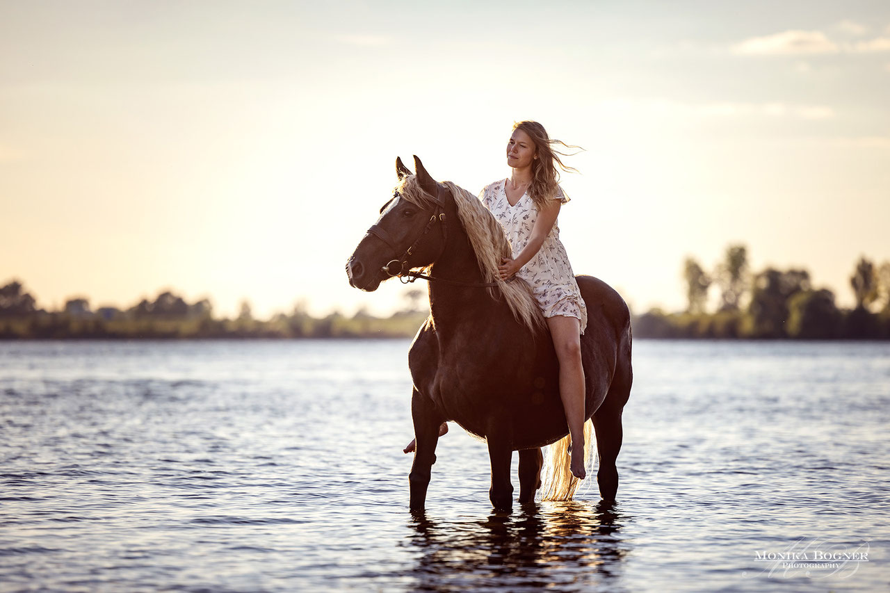 Pferd & Mensch - Pferdefotografie - Monika Bogner Photography