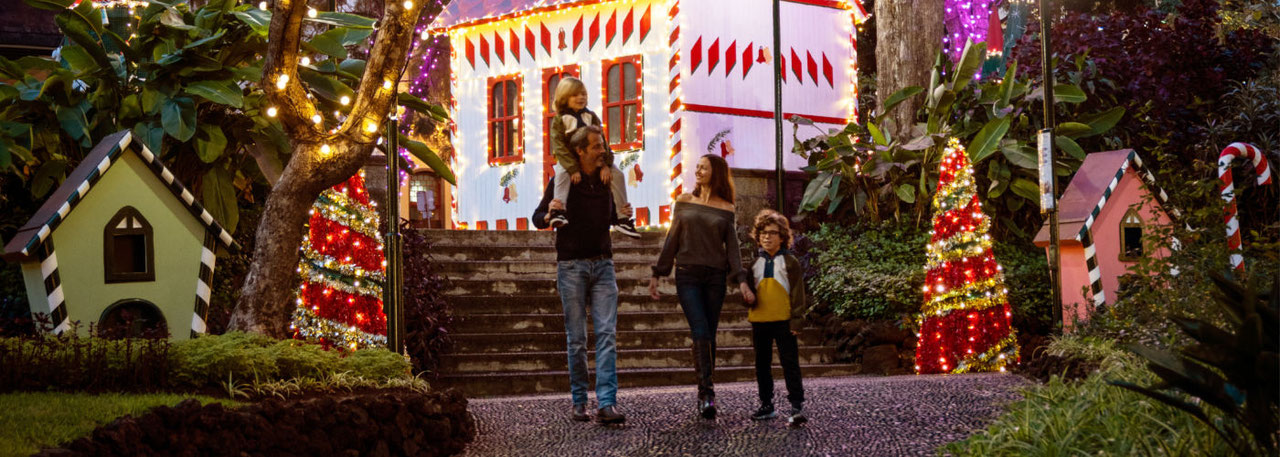 Madeira Portugal Christmas 2022 Madeira Christmas Market 2021 - Dates, Hotels, Things To Do,... - Europe's  Best Destinations