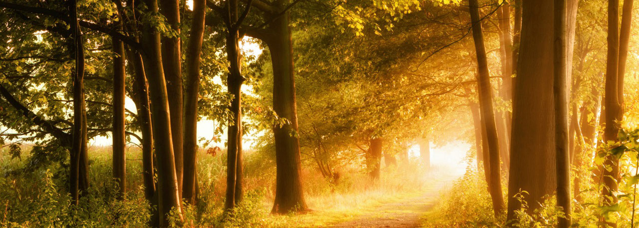 european cities to visit october Best destinations to visit in Europe for fall