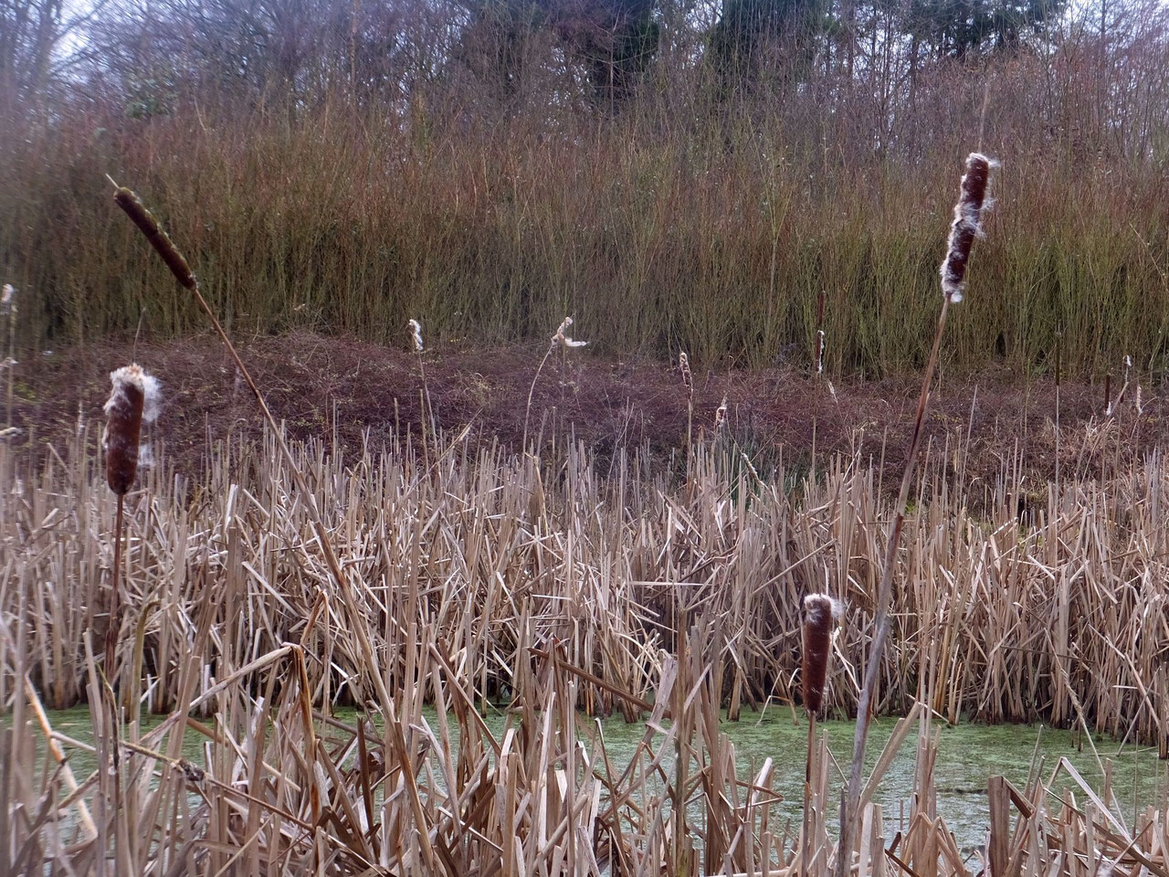 Flânerie philosophique Cours avec l'auteur d'ouvrages parascolaires