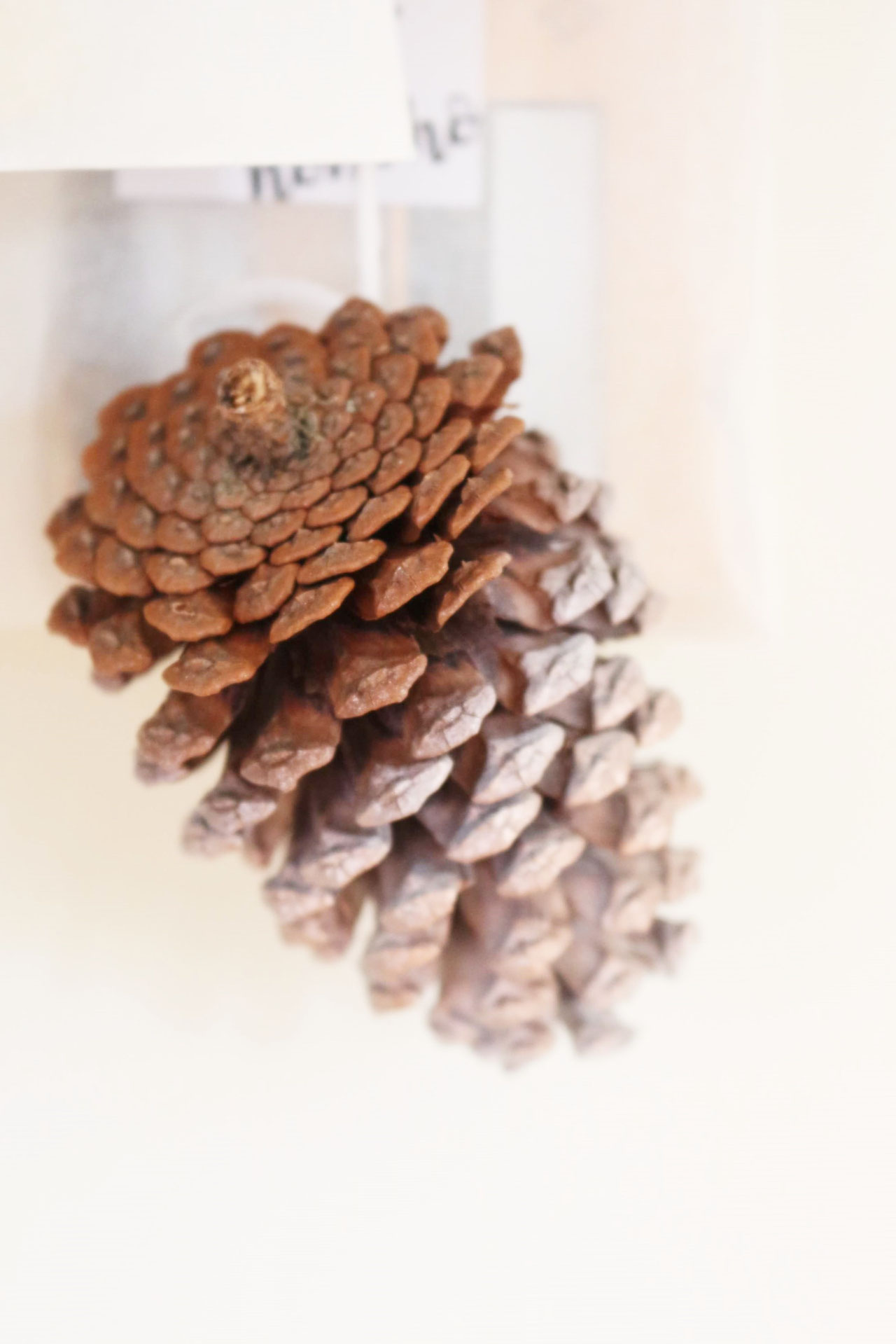 DIY Adventskalender Idee mit Kleiderbügel und Papiertüten