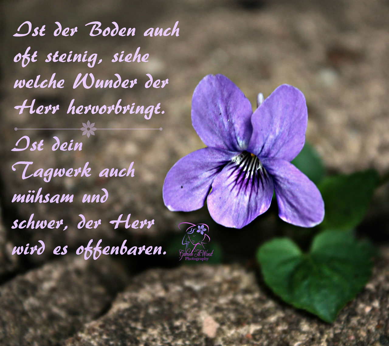 Spruchkarten aus dem Leben + ZITATE spruchkartens Webseite!