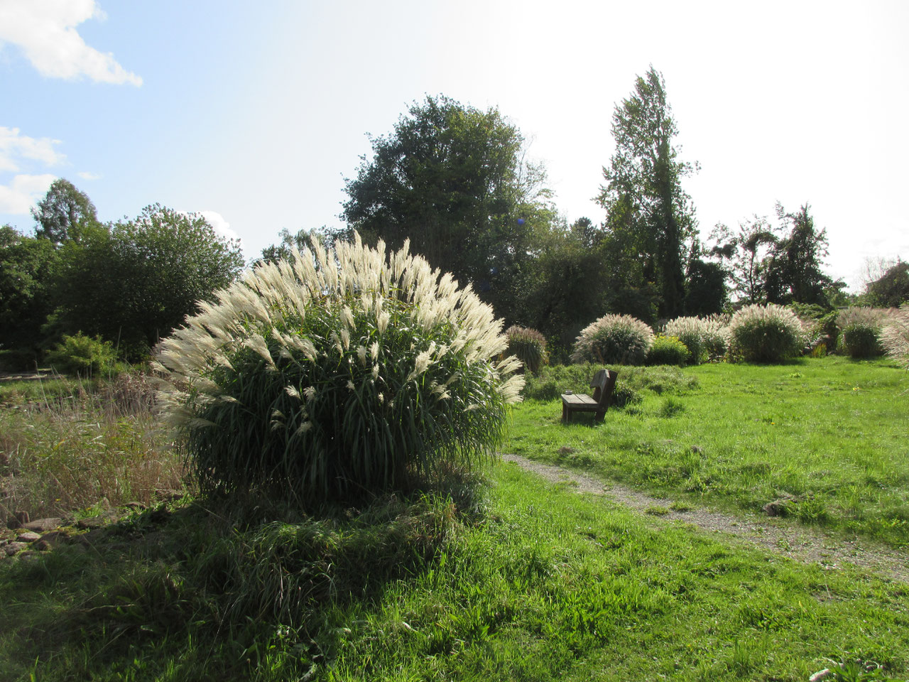 Pagels Garten in Leer Der Garten für alle
