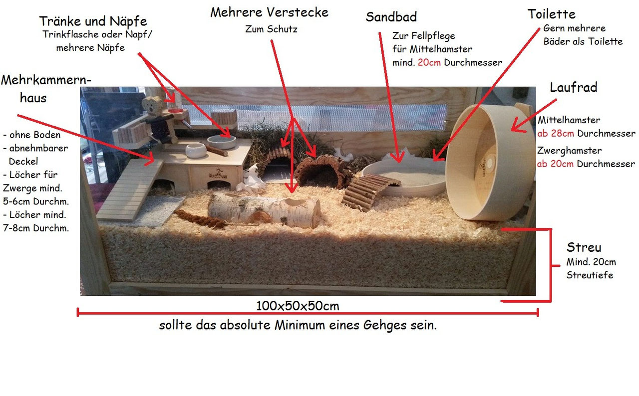 Artgerechte Hamsterhaltung