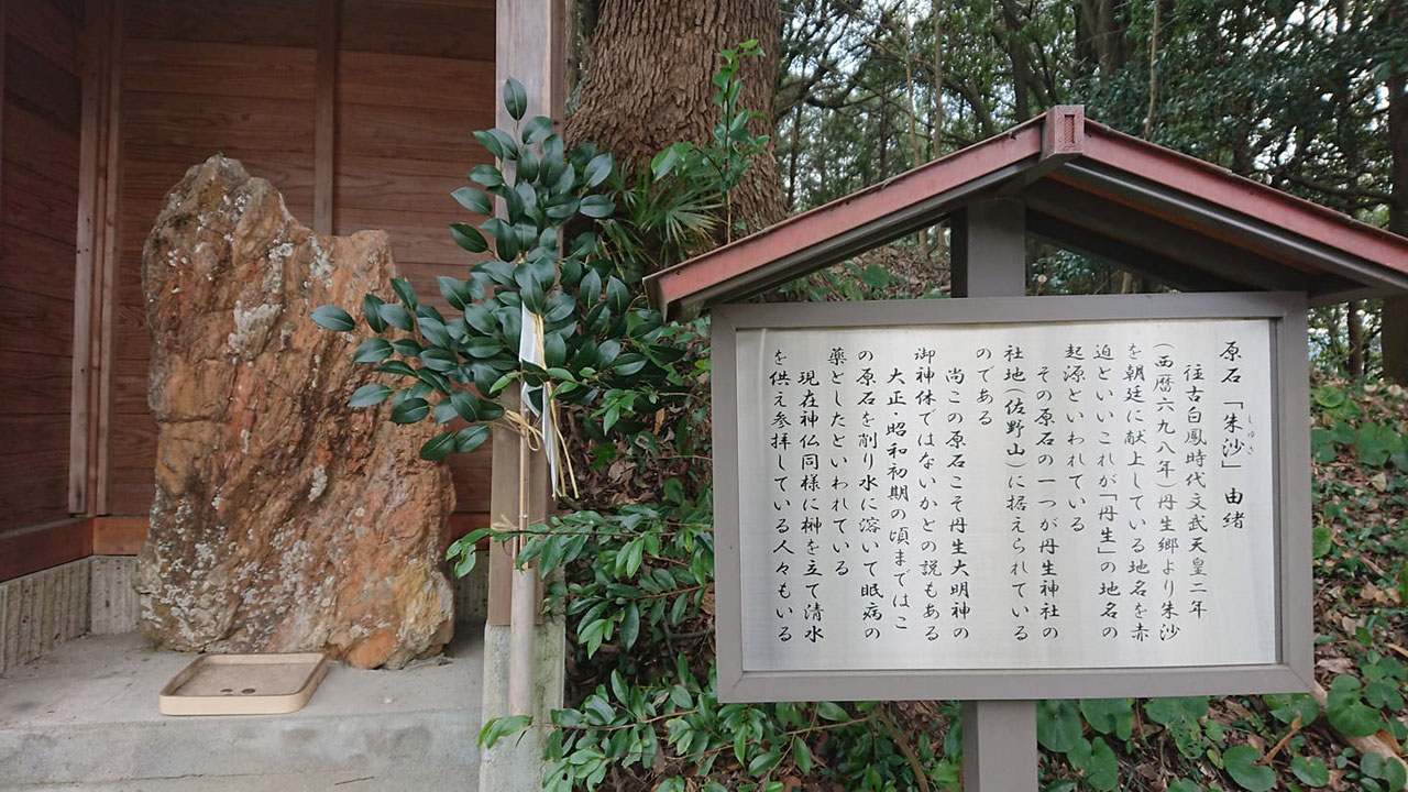椎根津彦はただの船乗りではなかった！