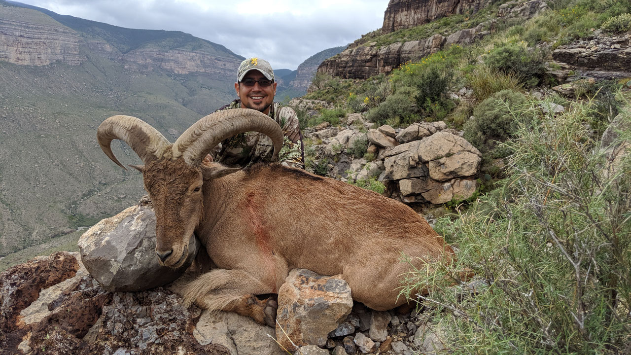New Mexico Hunting Desert Meadow Outfitters