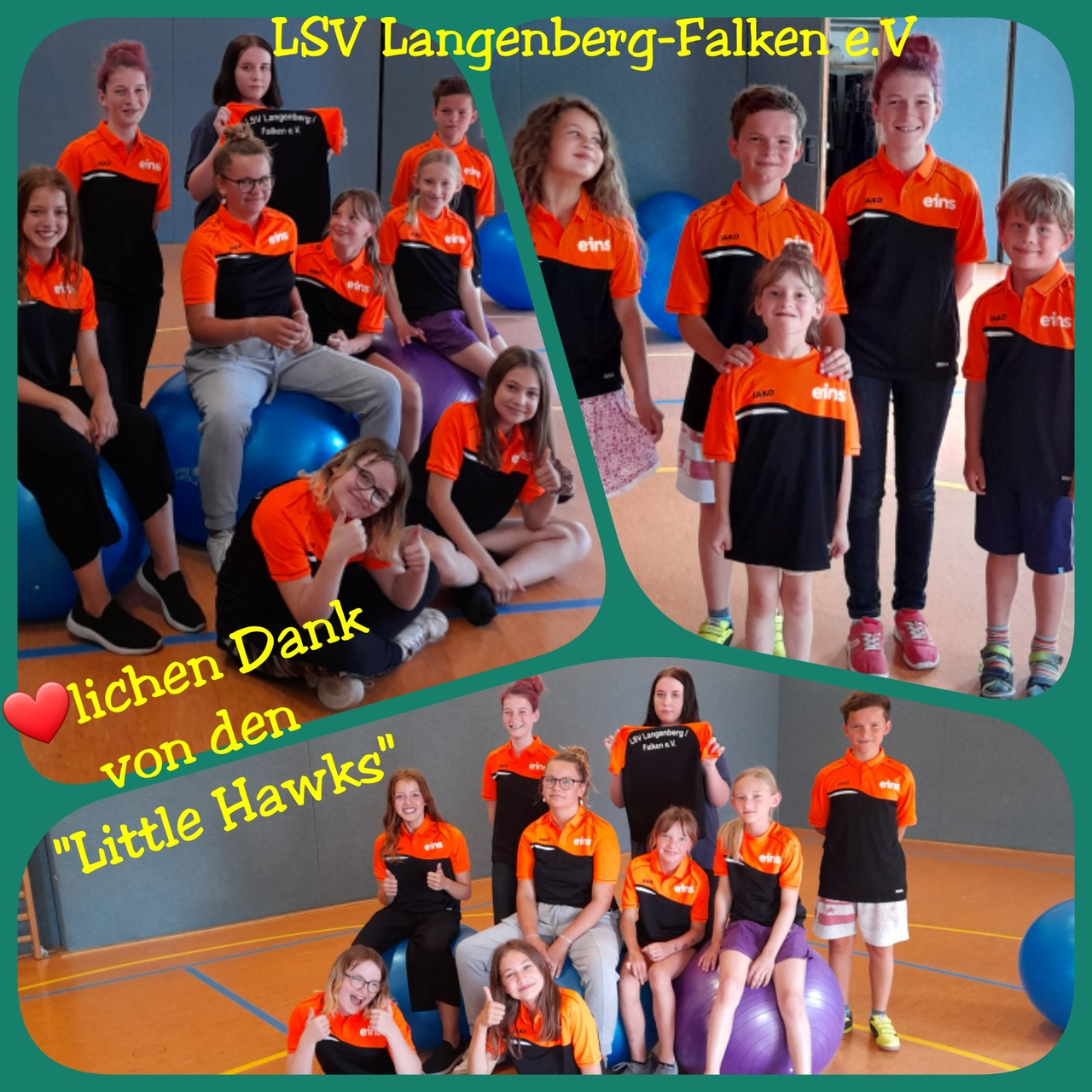 Die "Little Hawks" bedanken sich bei der Firma "eins" für die