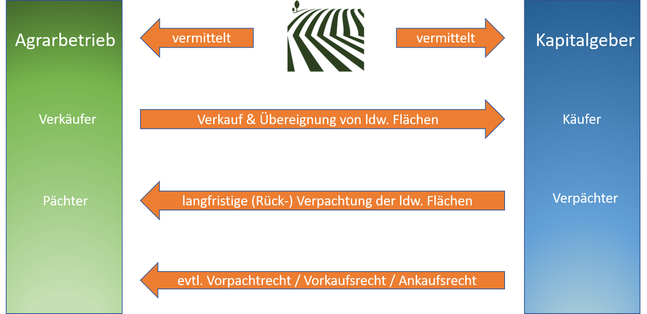 Sale & Lease Back - AgrarVermittlung & Beratung Peters