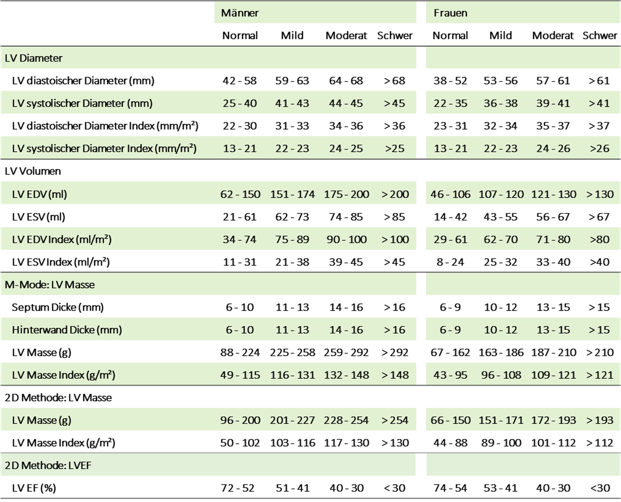 Linker Ventrikel - Echokurs Graz by TE-CARDIO