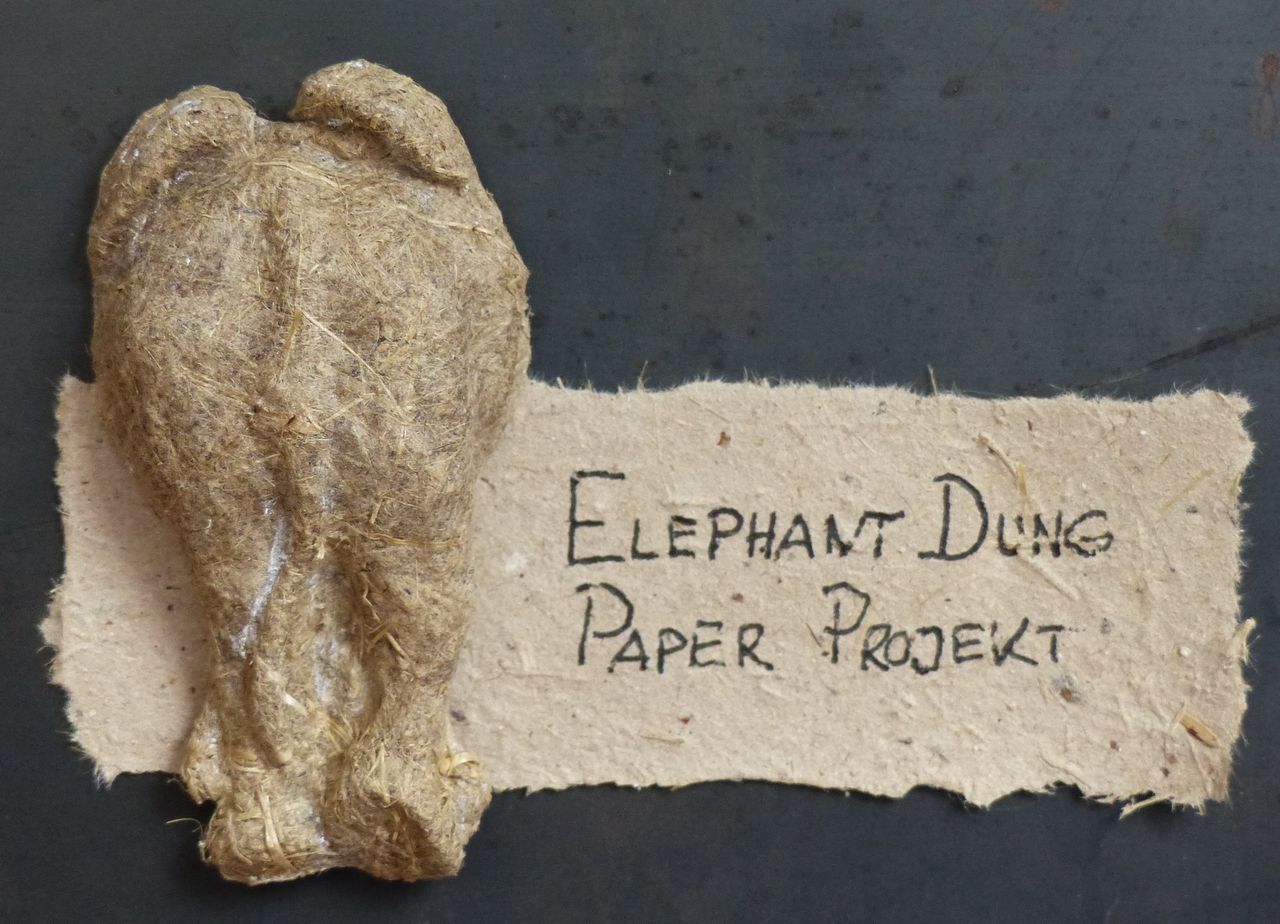 Pictures elephantdungpaper Projekt