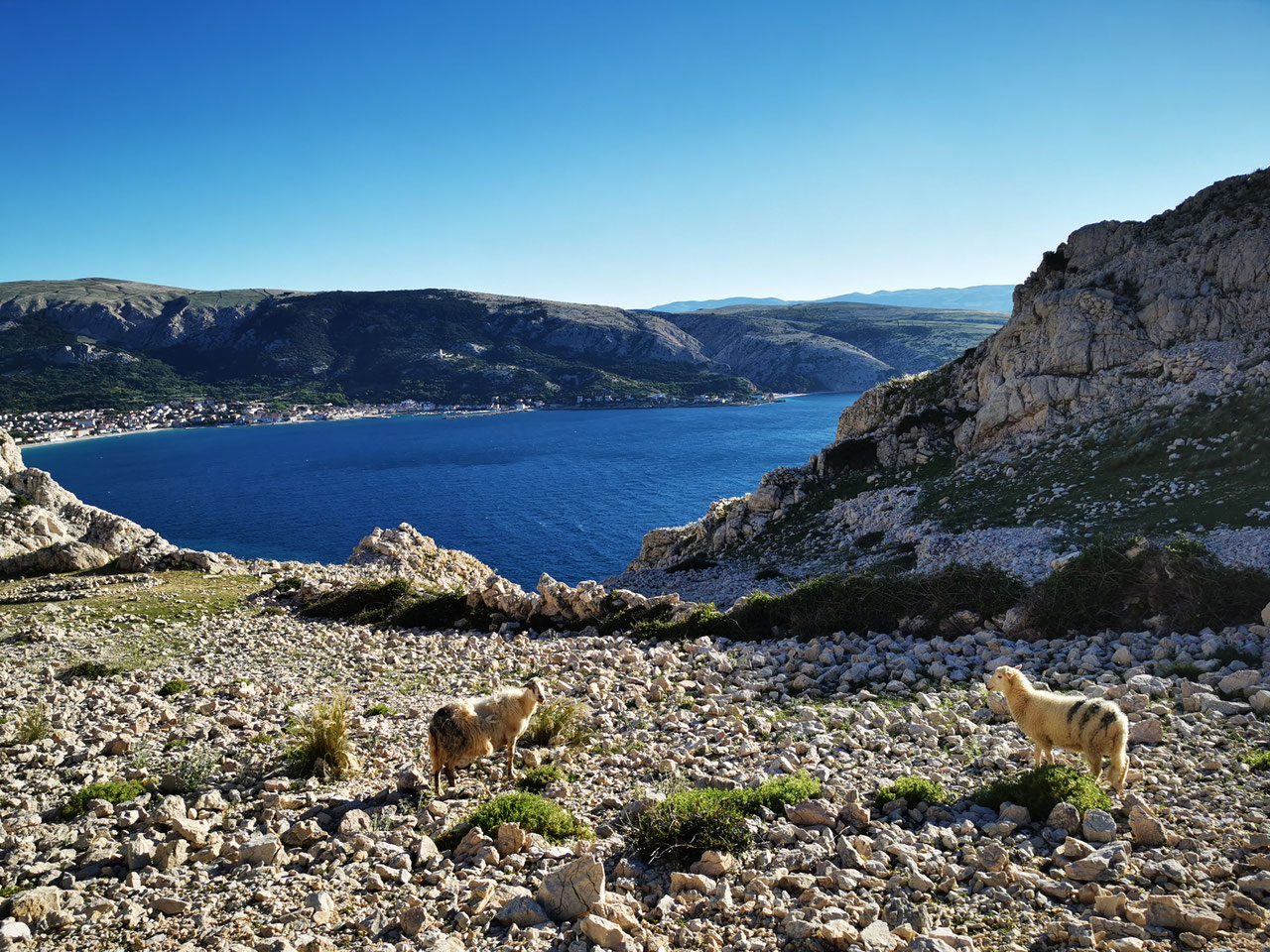 Urlaub auf Krk mit Kindern Chiemgauseiten