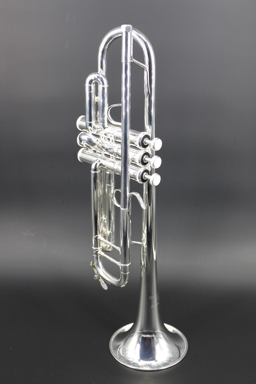 Standard - ERNEST JAPAN INSTRUMENTS