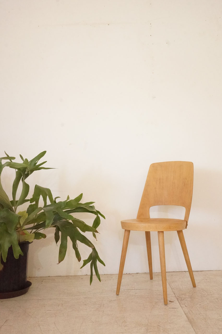 Mondor / Baumann - Wormhole Furniture│埼玉県和光市の