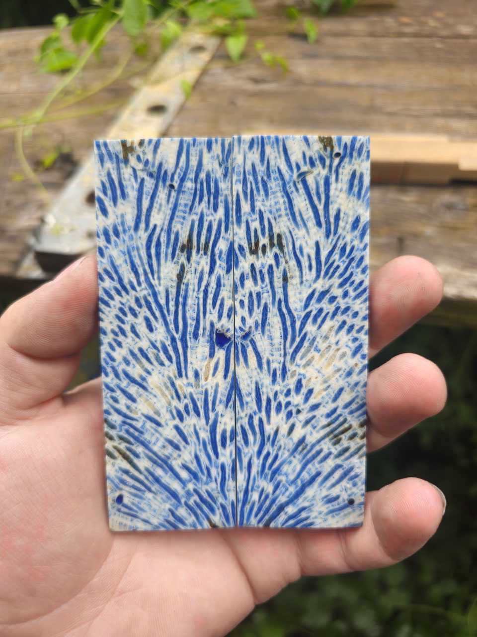 Fossilienm Mammut & Knochen - Martin Huber. Kunst- & Messerschmied