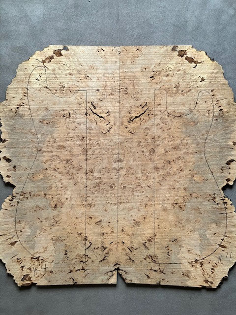 スポルテッドメイプルバール ドロップトップ用材 808 スポルテッドメイプルバール ドロップトップ用材 スポルテッド