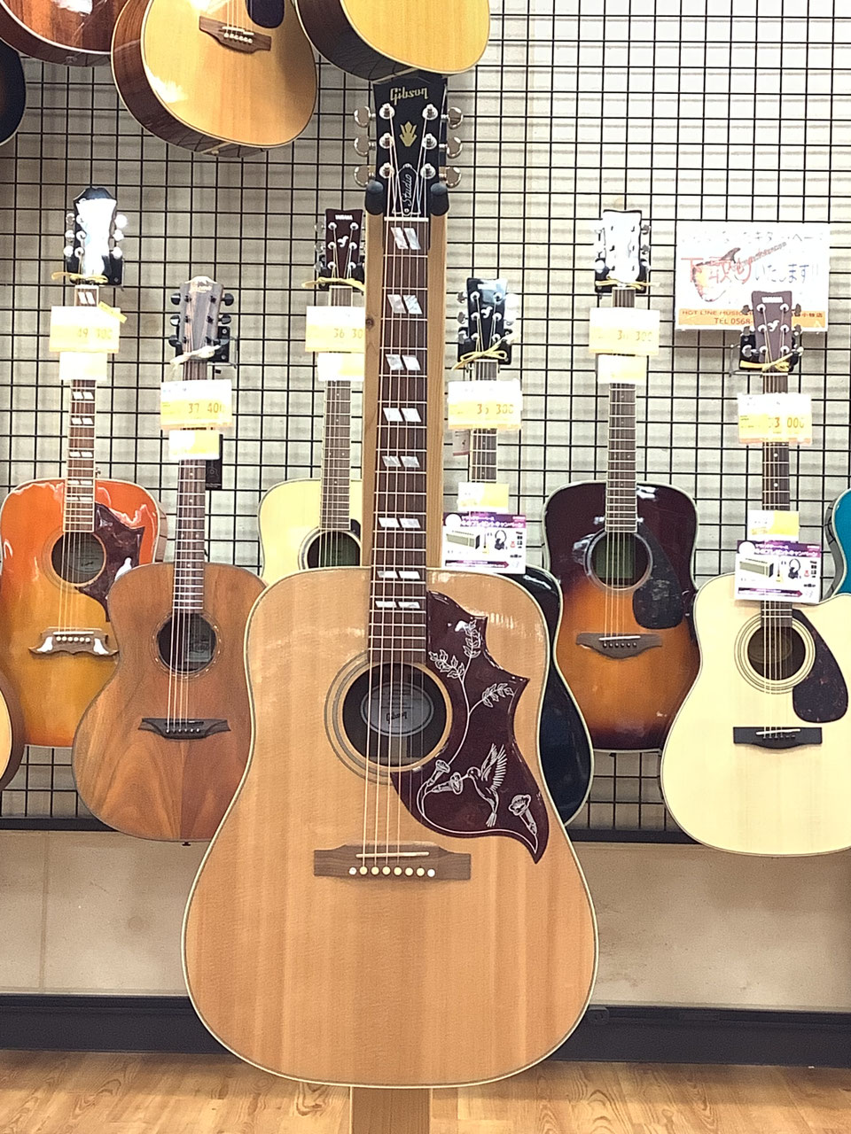 アコースティックギター - 村井楽器 小牧店