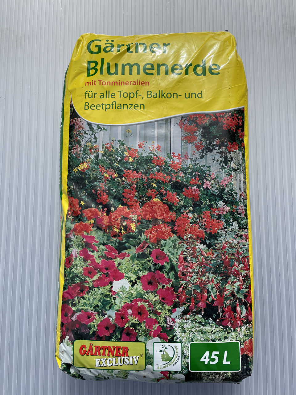 Erde - BLUMEN 2000