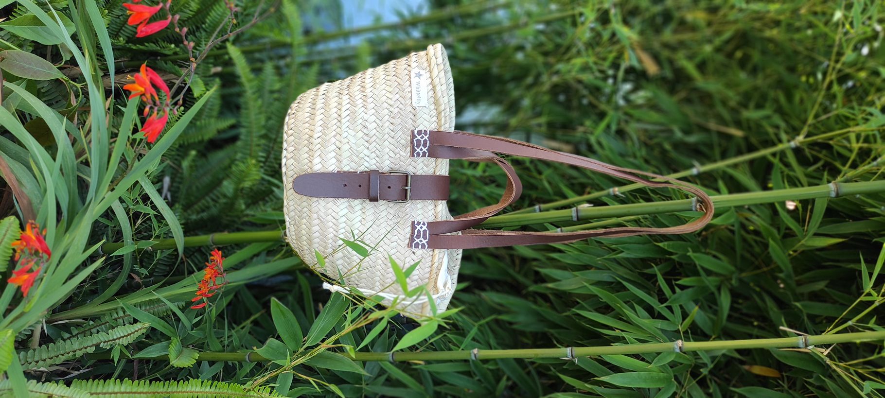 Whittelily clearance