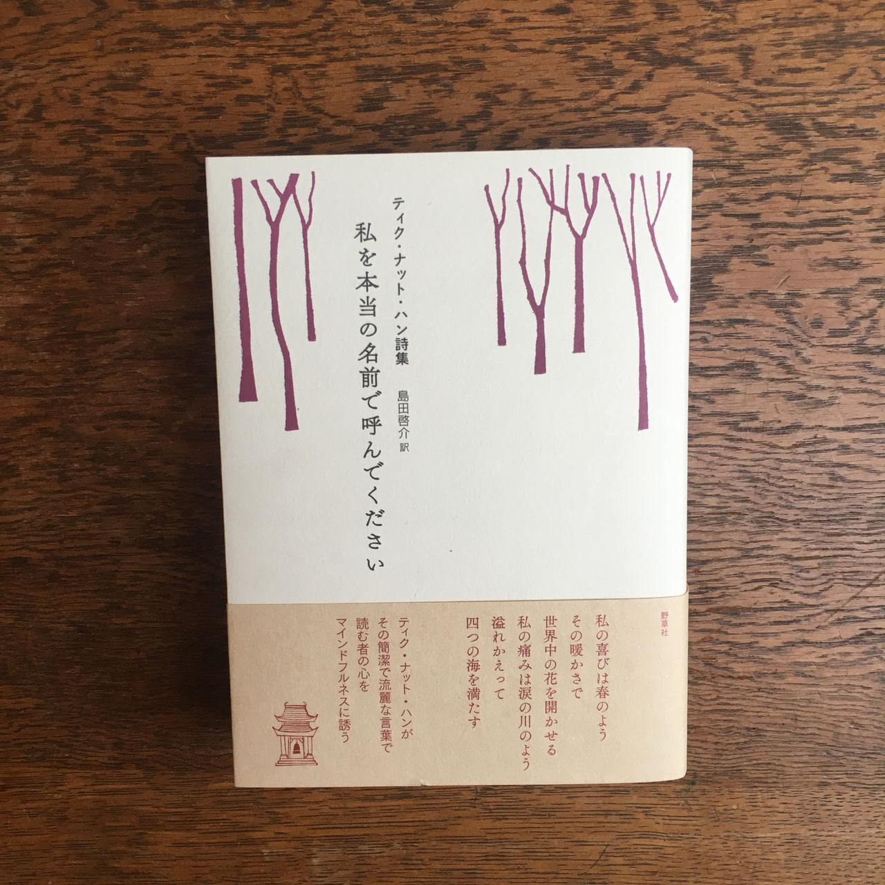 【Sale】ティクナットハンPeace in Oneself DVD6枚CD2枚 Amazon.com: Peace Is Every Step: The Path of Mindfulness in