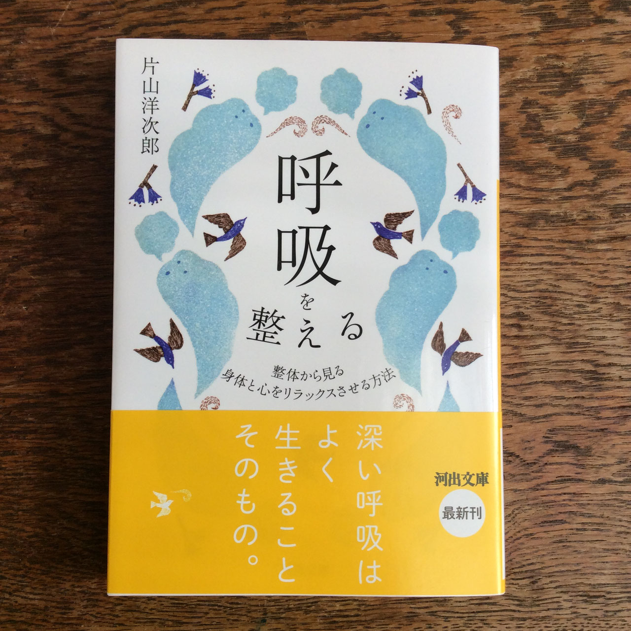気の身体論 : 野口晴哉が捉えた気の世界を数霊理論で統合する Amazon.co.jp: 気の身体論 ―野口晴哉が捉えた気の世界を数霊理論