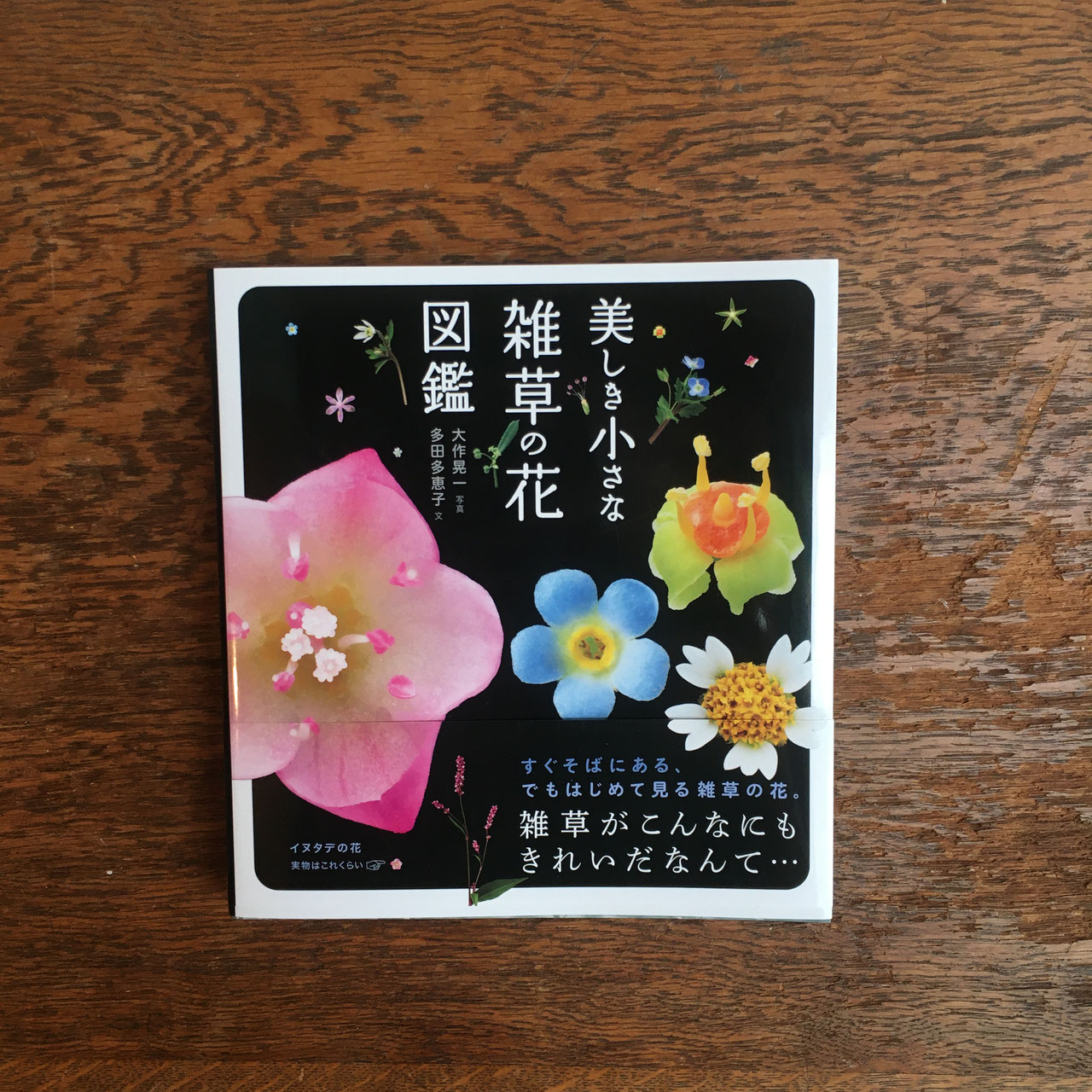 園芸療法: 21世紀を健康に生きる | 武川 満夫 |本 | 通販 | Amazon