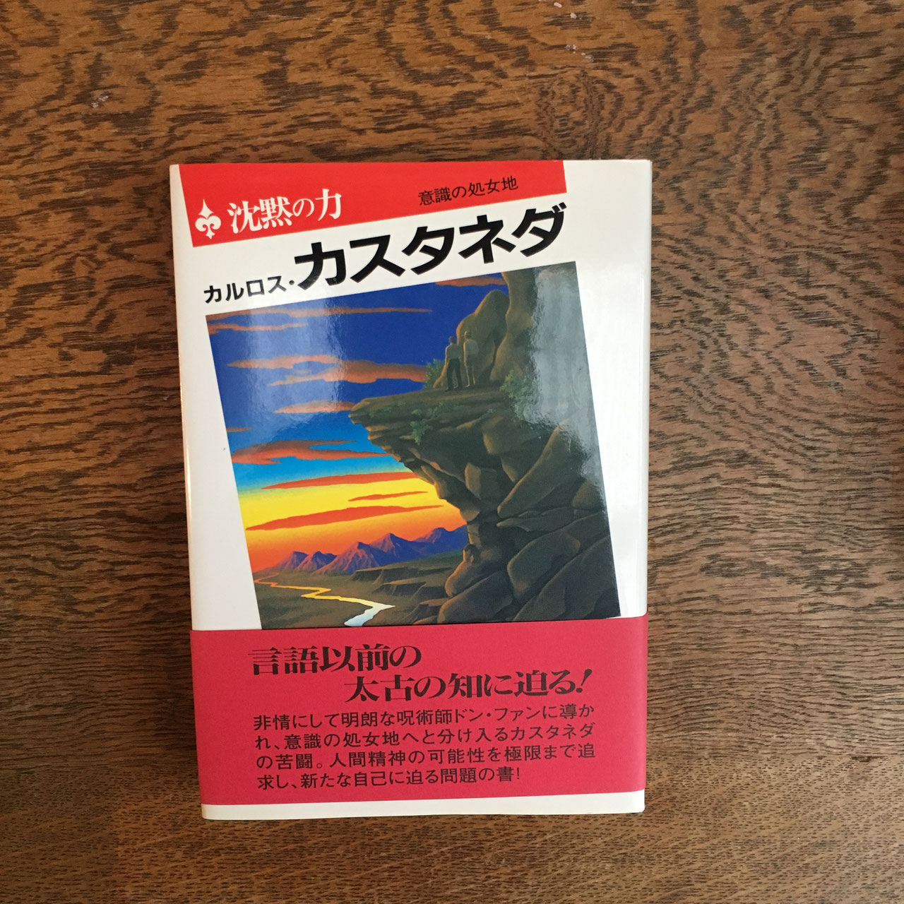 カルロス・カスタネダ/関連書籍 - nawaprasad ページ! カルロス・カスタネダ/関連書籍 - nawaprasad ページ!