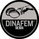 DINAFEM SEEDS