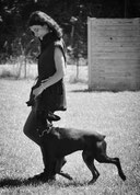 dressage de chien aude