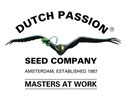 DUTCH PASSION