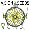 VISION SEEDS