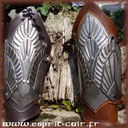 Canons d'Aragorn