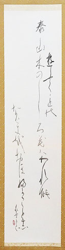 川村晁雪