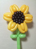 #0056 向日葵 sunflower