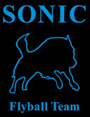 Sonic---http://sonic-flyball-team.jimdo.com