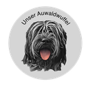Eine Seite über sechs tolle Hunde.