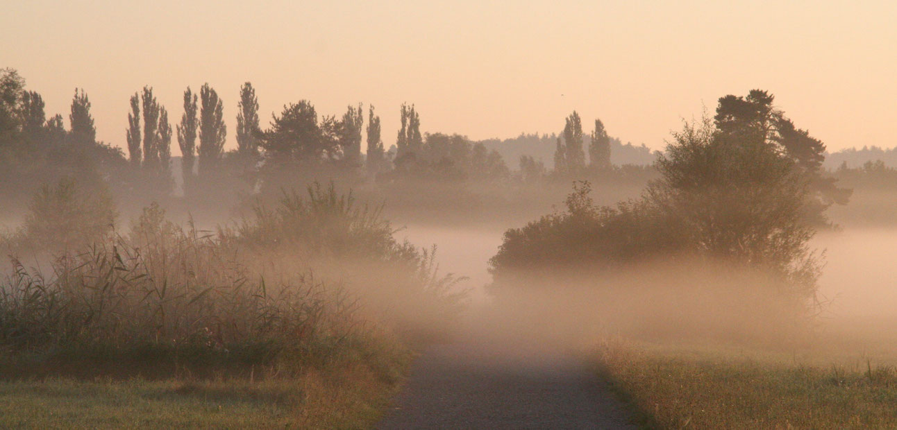 Führungen im Wollmatinger Ried NABUBodenseezentrum