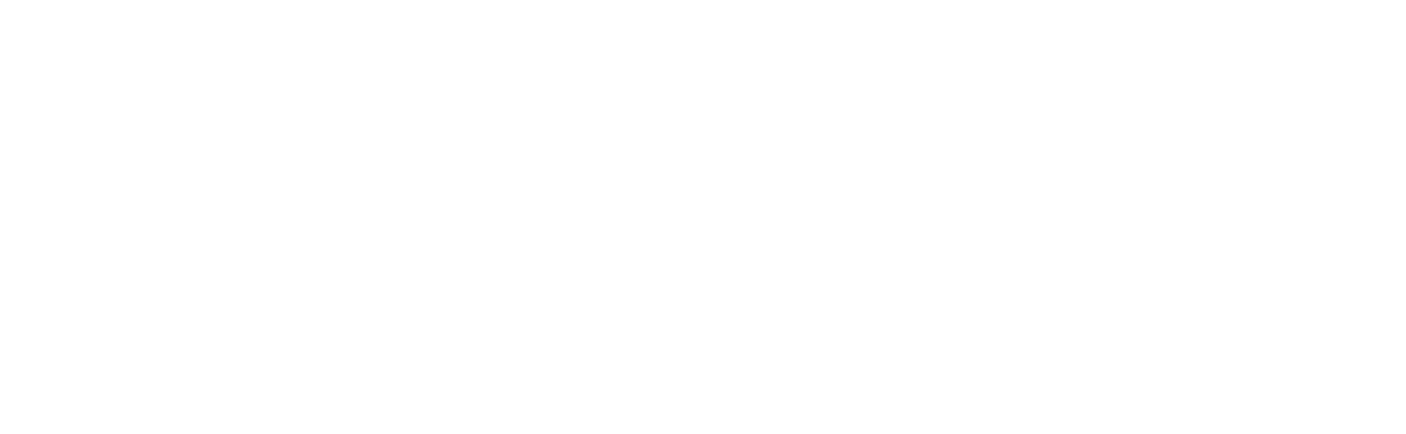 lionsadventskalenders Webseite!