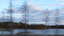  Bilder