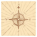 État, plan, déplacement, vaste, changement, situation, orientation, positionnement, progression, phase, schéma, variable