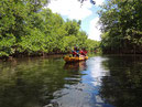 Le Kayak avec Kayak Aventure Mangrove autour des restaurants de Ducos Martinique