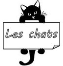 Le Petit Chat Miroir Takalirsa Le Petit Chat Miroir Takalirsa