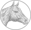Pferdekopf