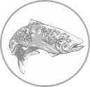 Fisch