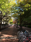 大阪大学の風景