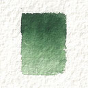 aquarelle verte
