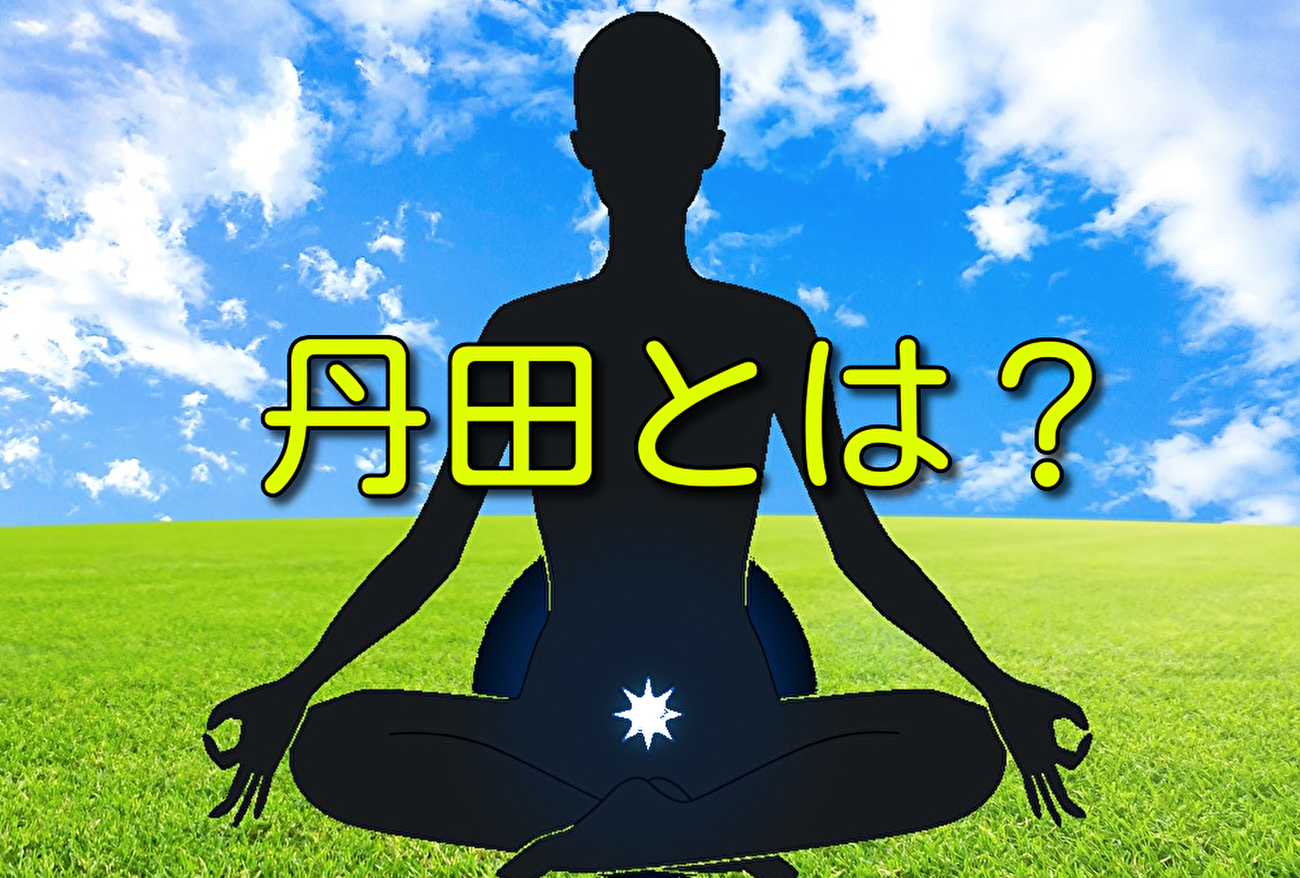 合気道 合心館京都&大阪は、京都・大阪市内の2ヶ所で合気道教室を開催しています。 丹田(たんでん)とは?合気道は丹田から力を出します。